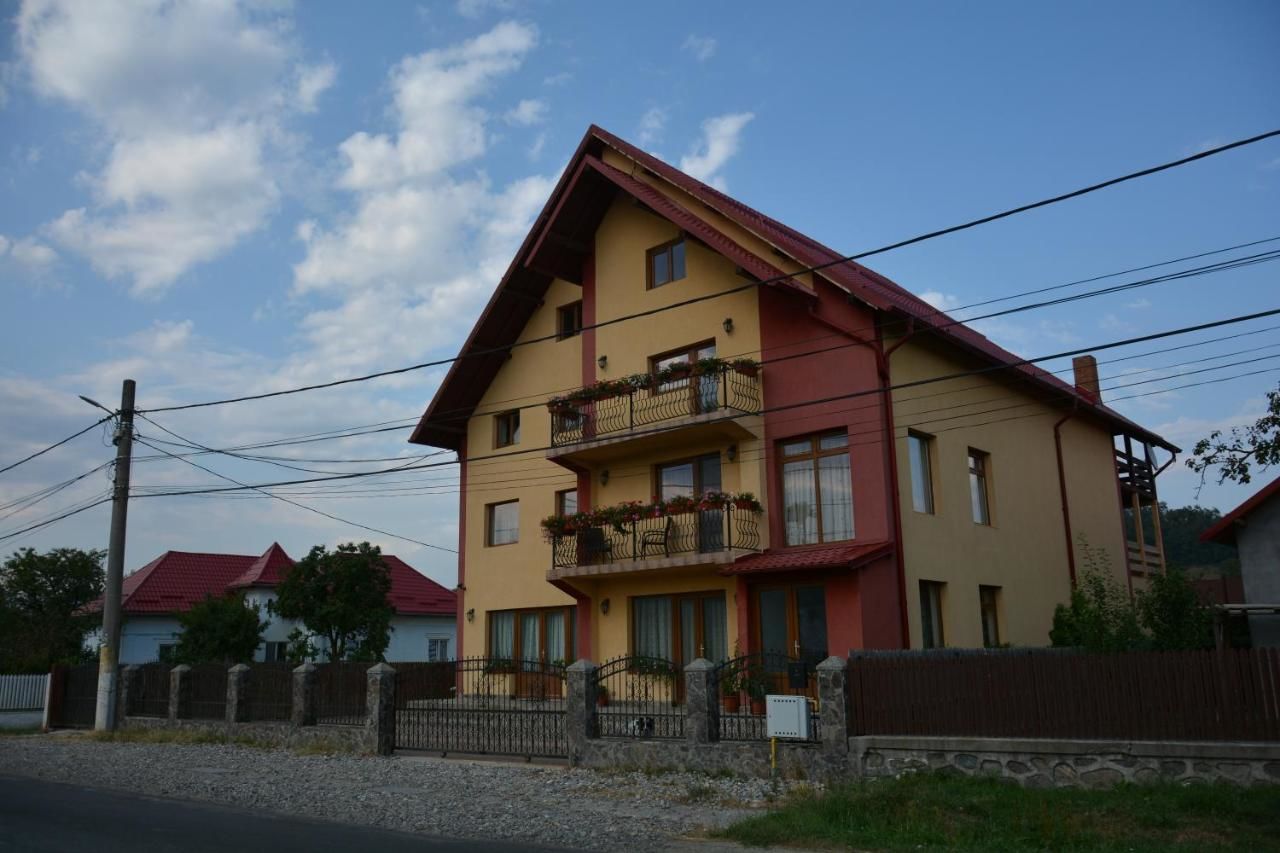 Гостевой дом Casa Leu Albeştii Pămînteni-9